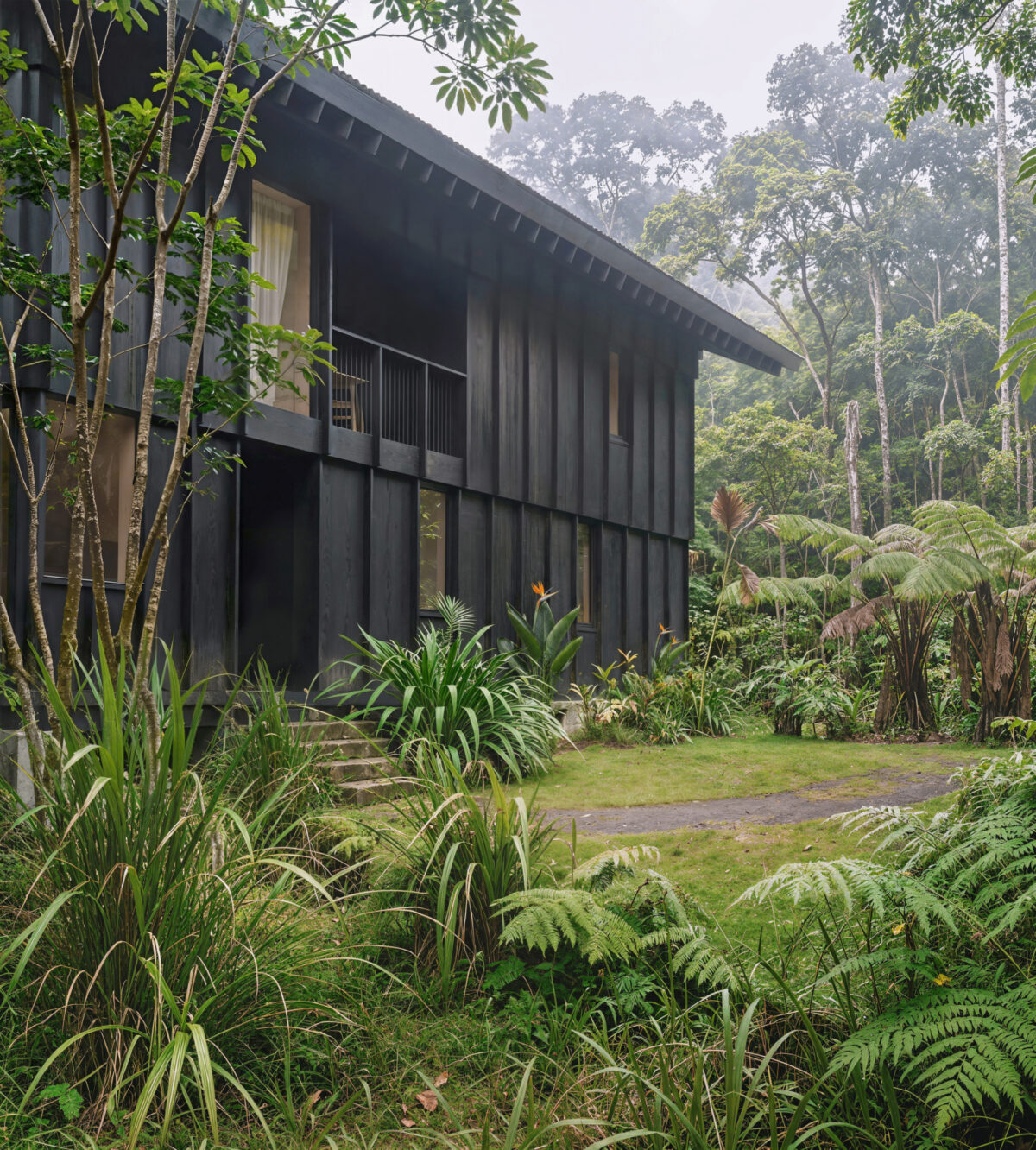 Mork Ulnes Volcano Jungle1 Copyright Kvant1